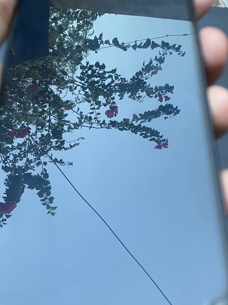 Apple iPhone 13 4