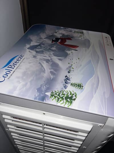 Air cooler