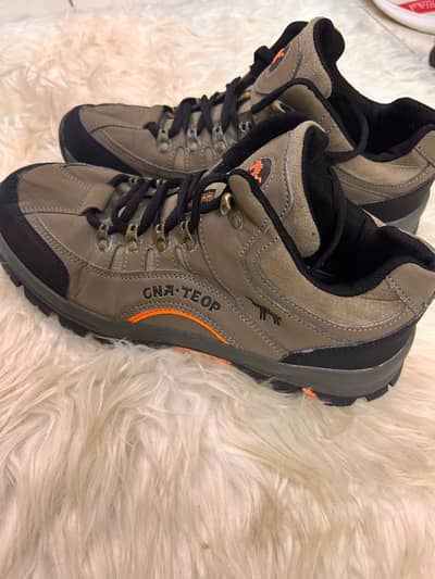 camel original shoes