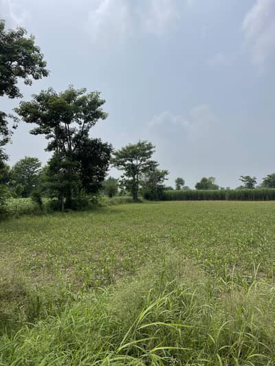 107 ACRES PRIME LAND FOR SALE MUSTAFAABAD