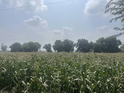10 Acres Prime Industrial & Commercial Land For Sale Lakhanaki, Ferozepur Road