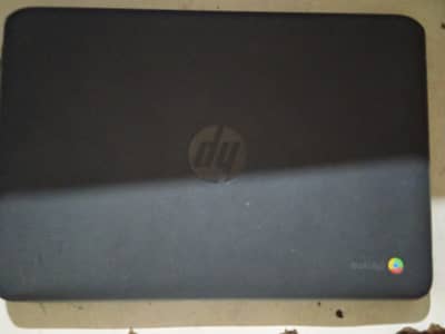hp cromebook