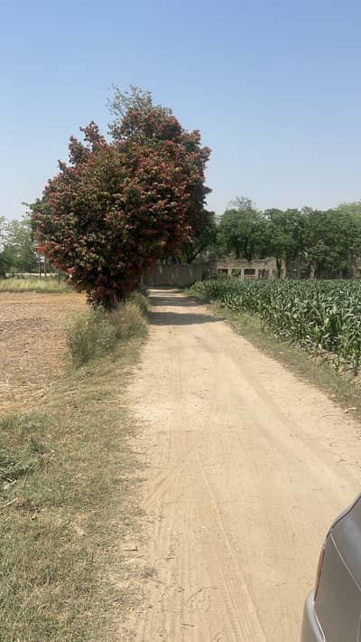 3.5 Kanal Land For Sale Canal View Farm House | Mustafabad Liliani