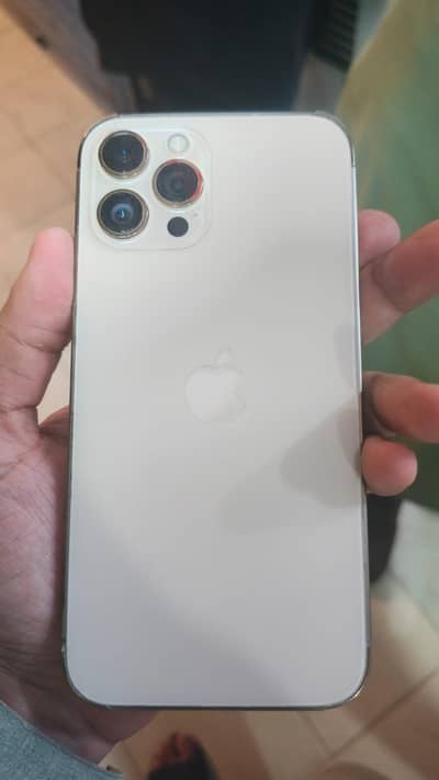 Apple iPhone 12 Pro Max Dual Pta Approved