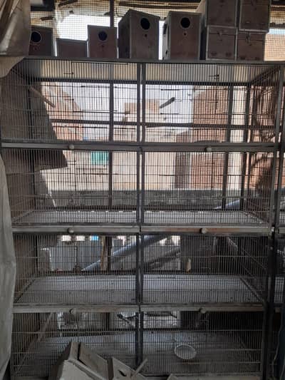 cages for sale