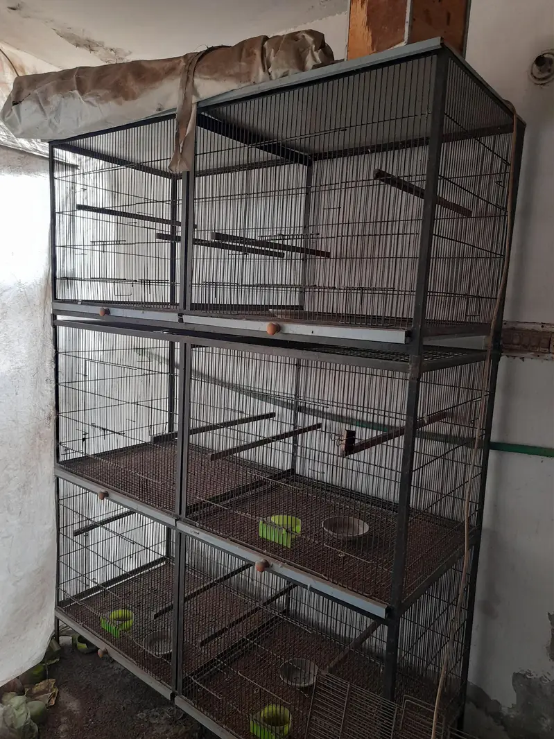 cages for sale — photo 2