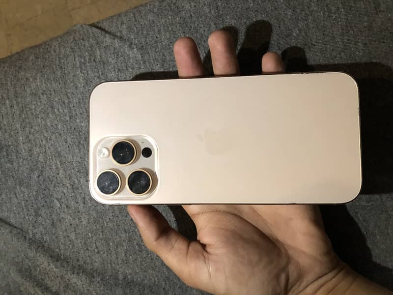 Apple iPhone 16 Pro Max 2
