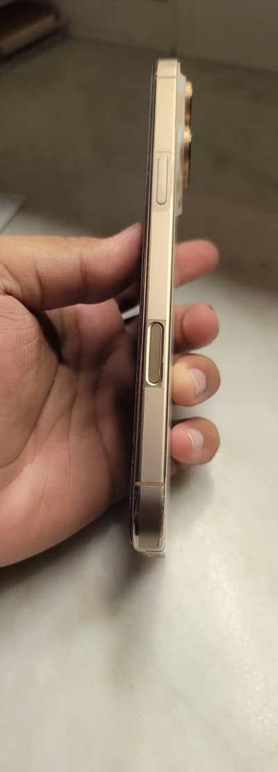 Apple iPhone Other Model 16 pro max
