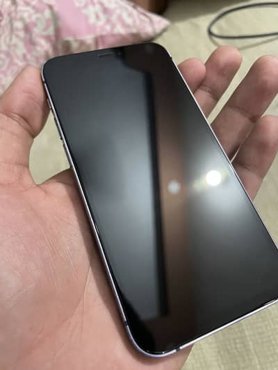 Apple iPhone 12 mini