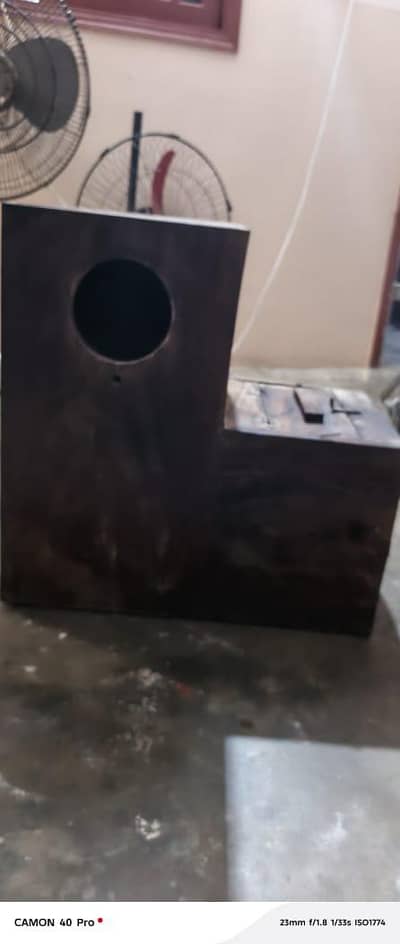 Alexander,gray parrot L box