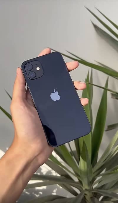 Apple iPhone 12