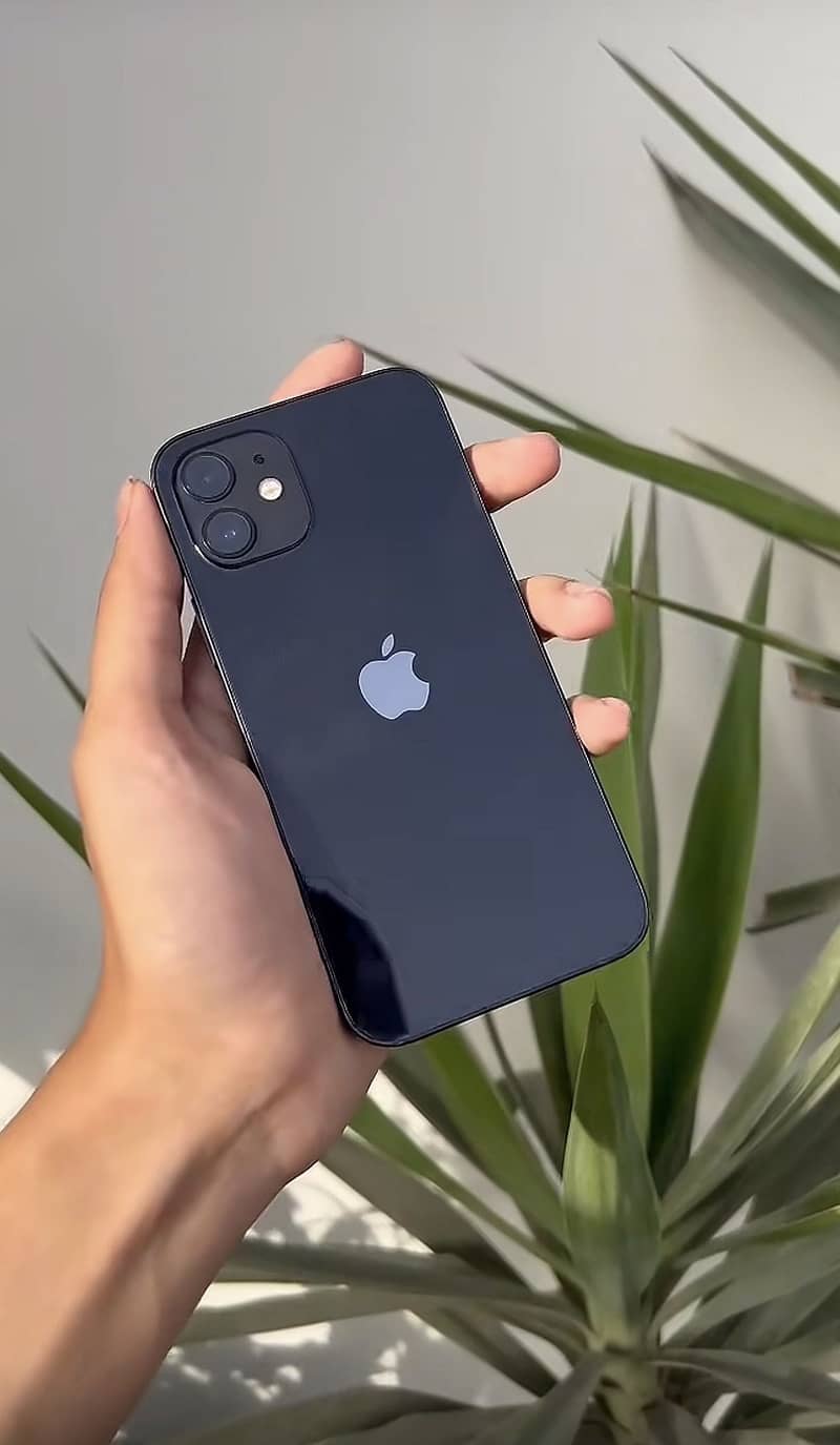 Apple iPhone 12 0