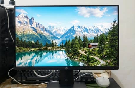 Hp Computer Monitor
