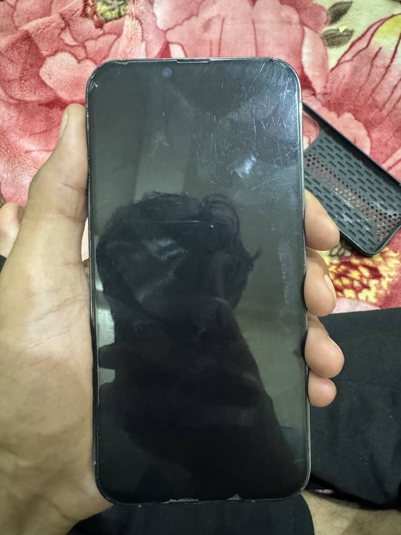 Apple iPhone 13 Pro Max 2