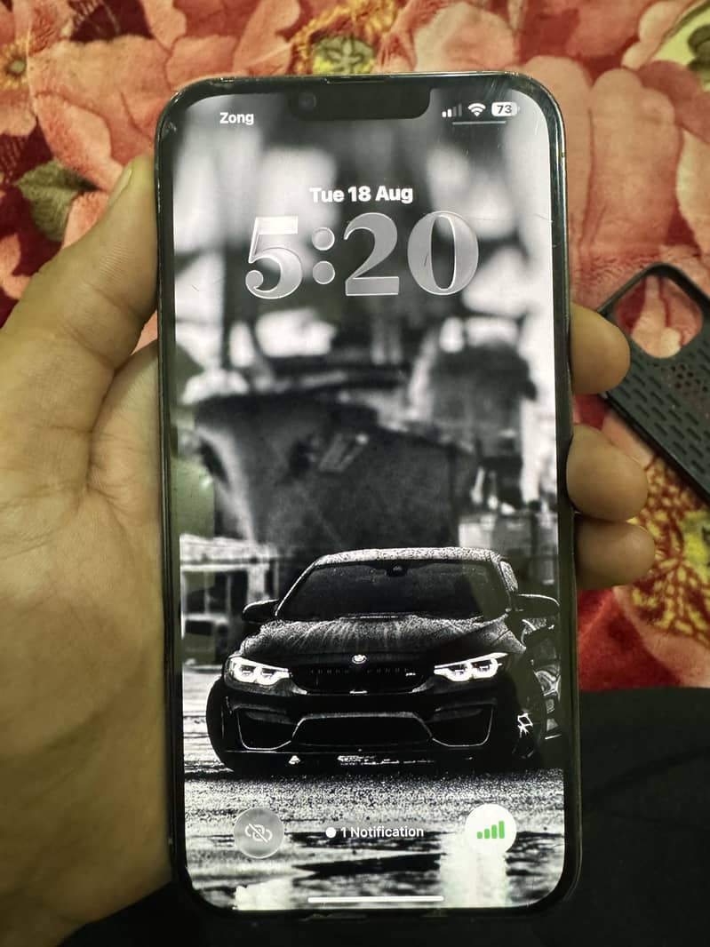 Apple iPhone 13 Pro Max 5