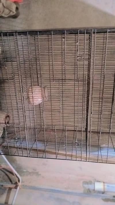 parrot cage