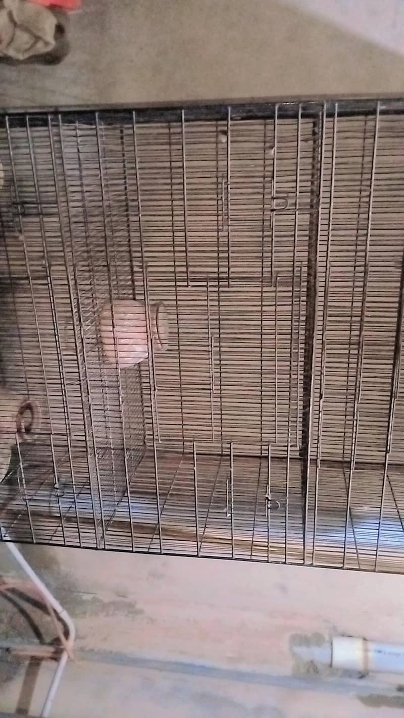 parrot cage 0