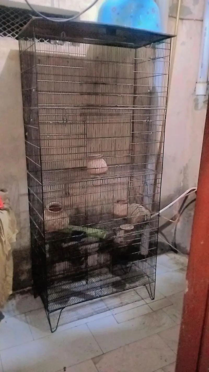 parrot cage — photo 2