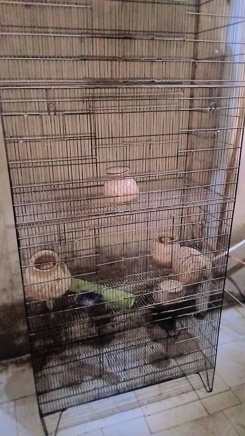parrot cage 2