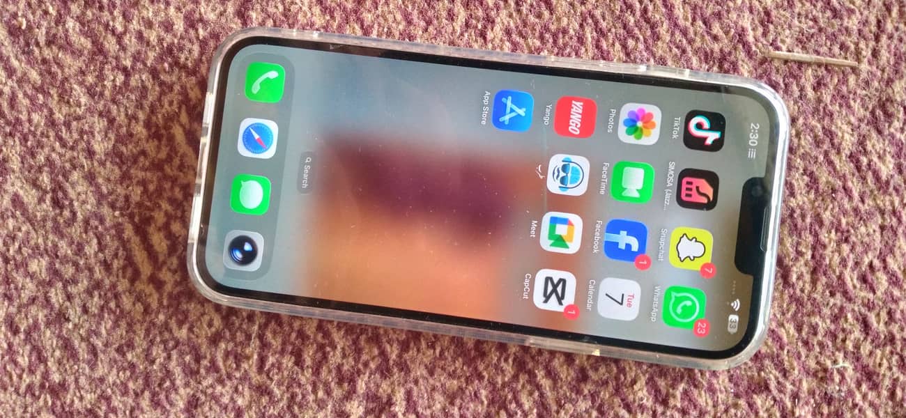Apple iPhone 13 Pro Max 2