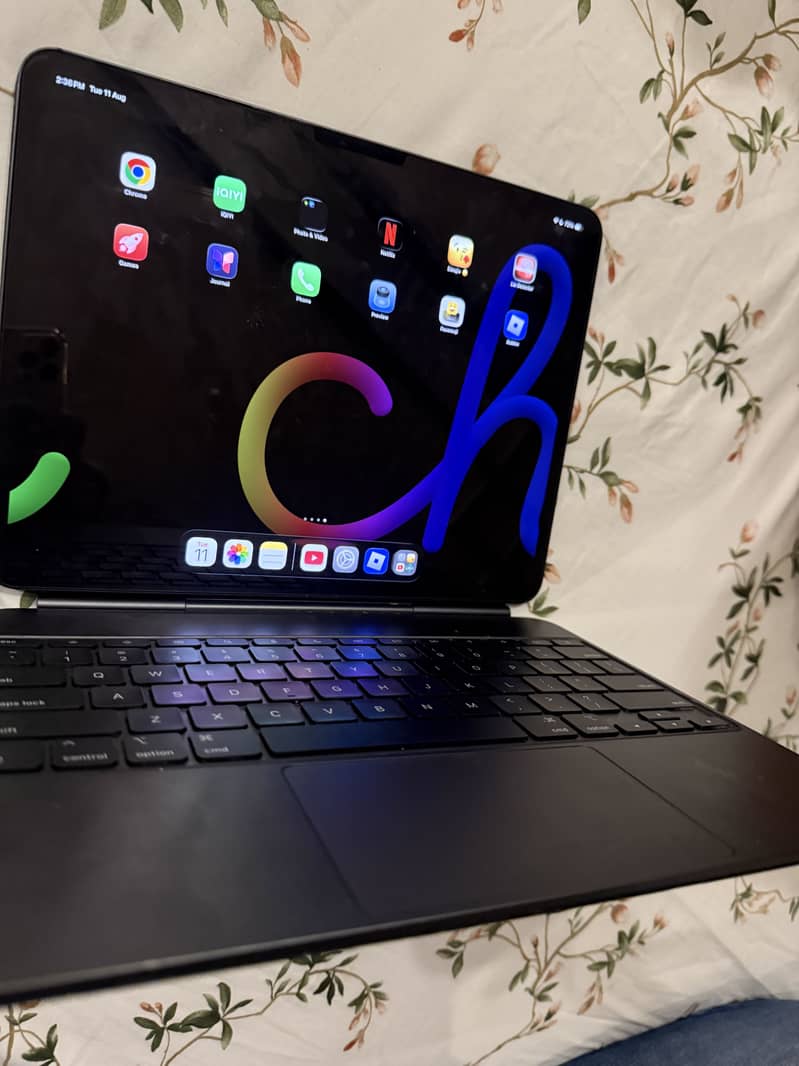 Ipad pro 13 inch M4 3
