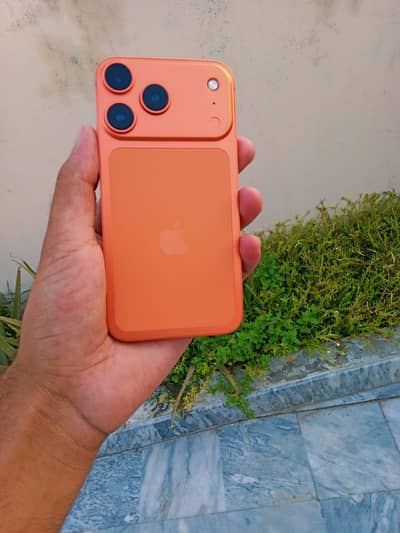 Apple iPhone 11 coverted 17 PM