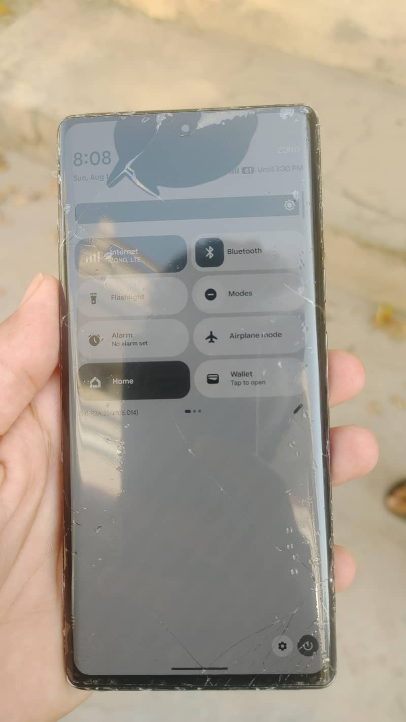 Google Pixel 6 Pro 1
