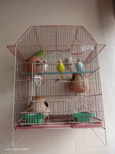 cage for sale