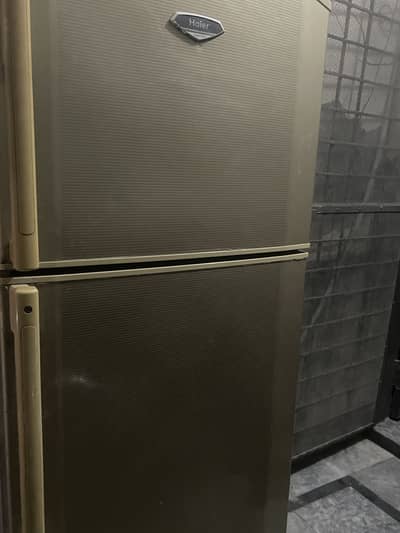Haier fridge & freezer