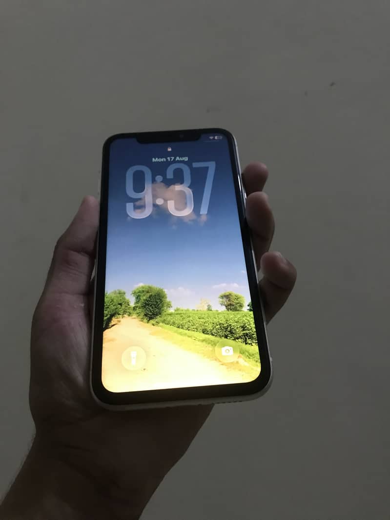 Apple iPhone 11 3