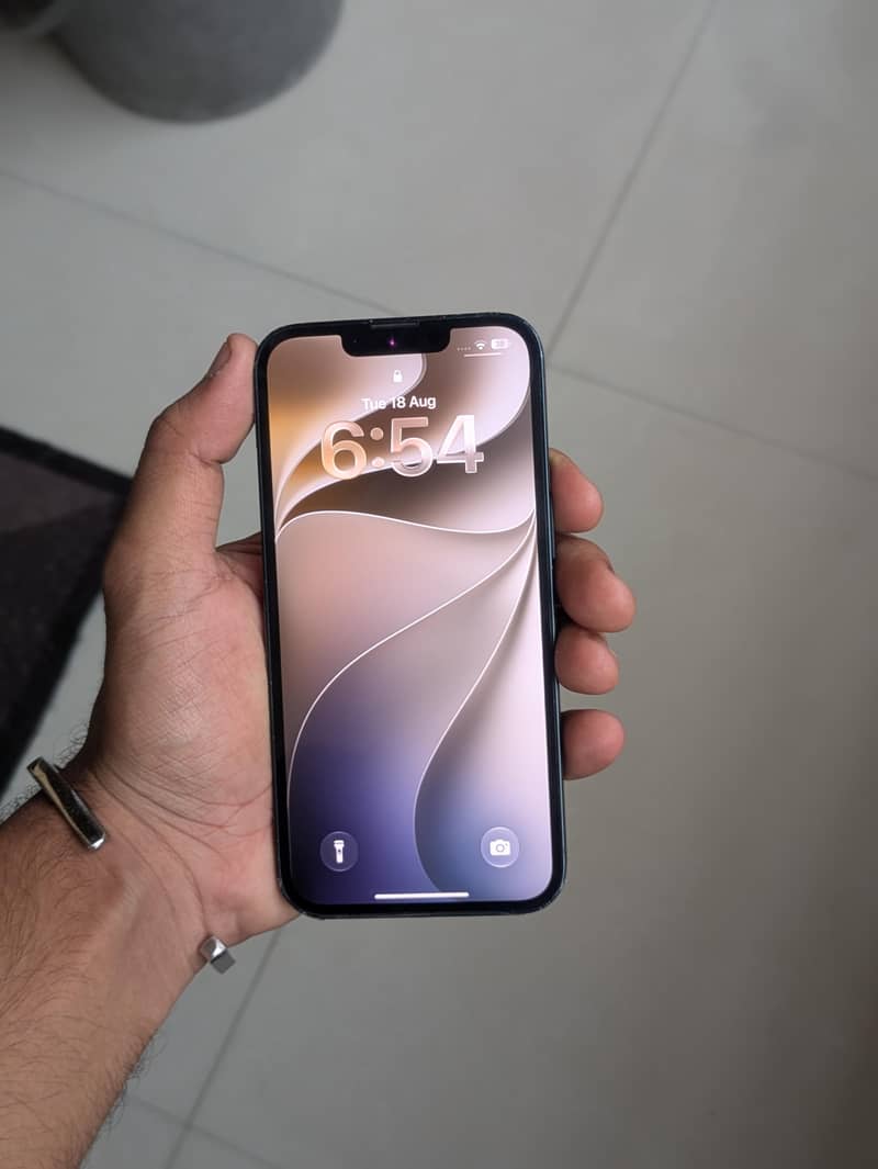 Apple iPhone 13 0