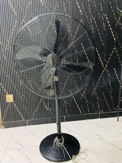 Pedestal Fan