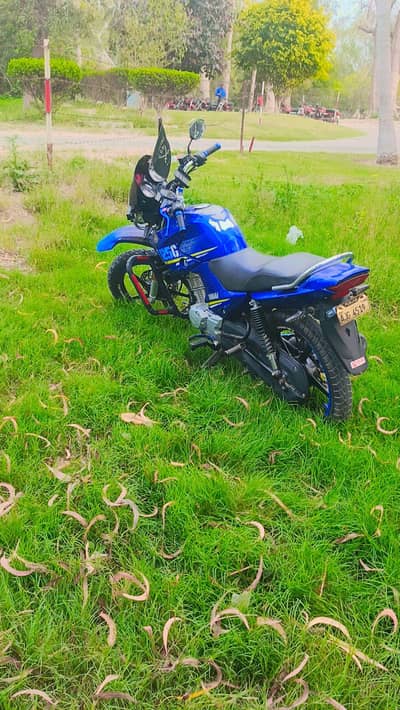 urgently sale