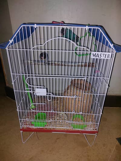 1 pair bird with cage