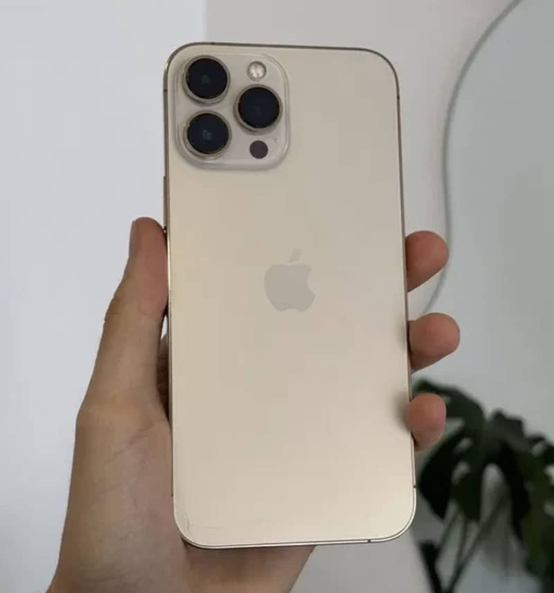 Apple iPhone 13 Pro Max 0