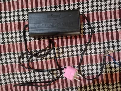 SUOER SMART BATTERY CHARGER