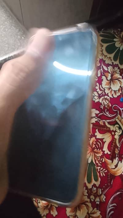 03244769323