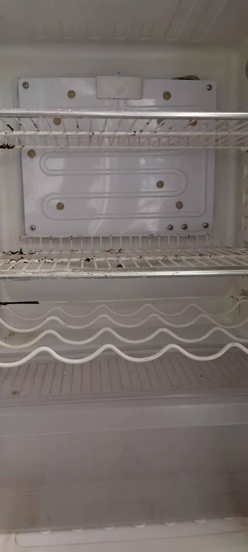 Refrigatoress 5