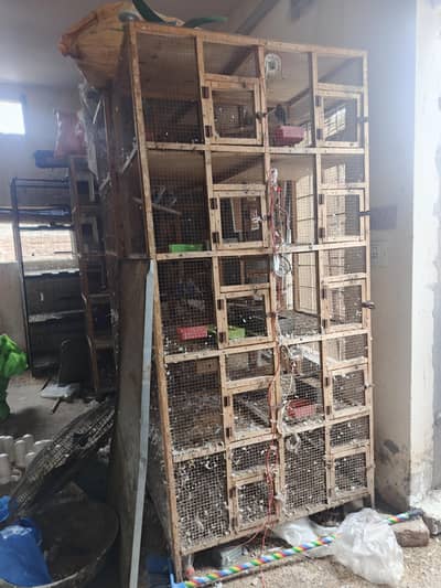 10 portion waley 5 cages hein