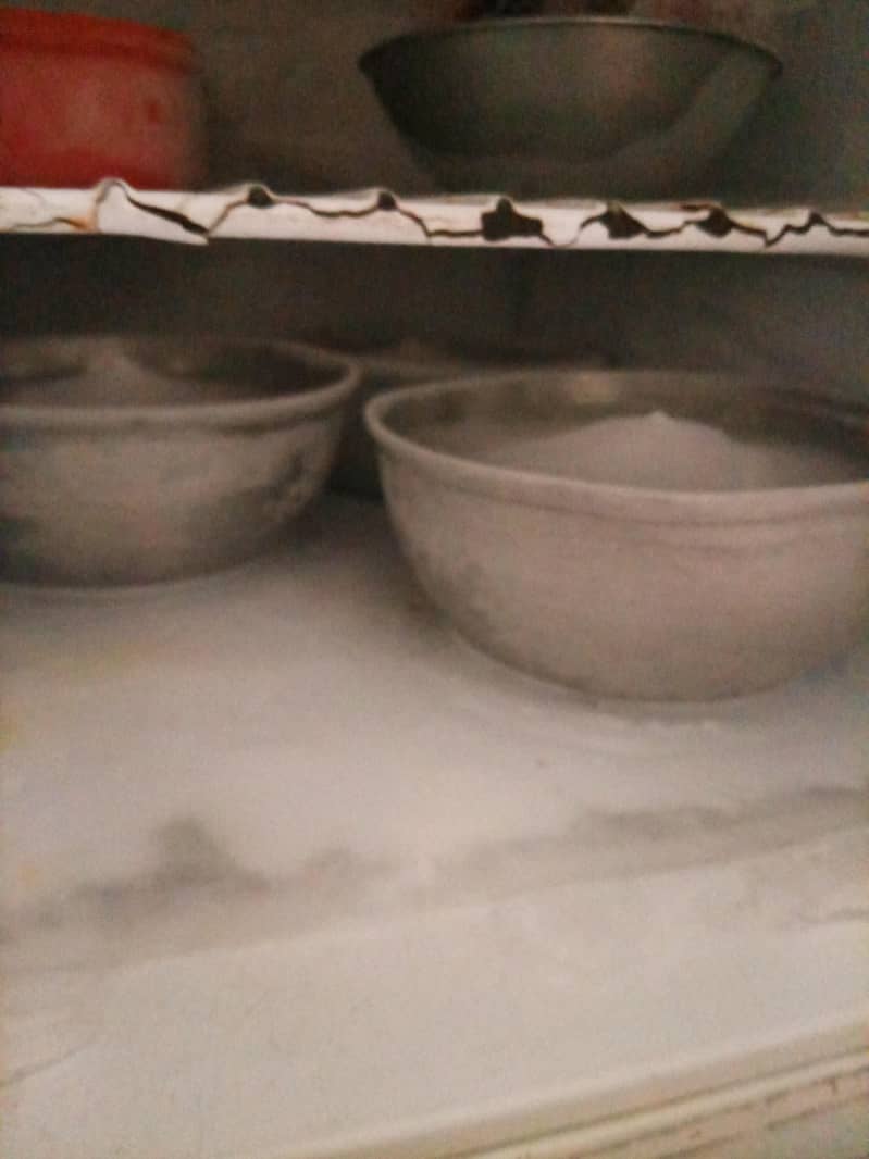 Pel fridge 1