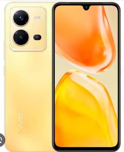 Vivo V25e