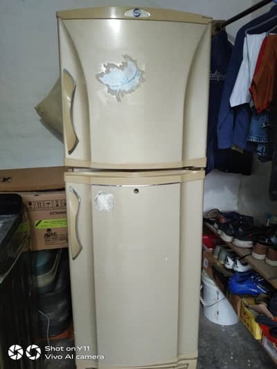 pel refrigerator for sale