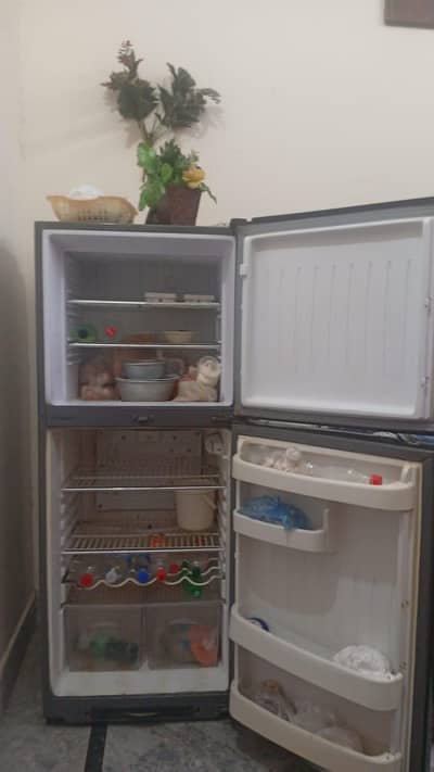 orient fridge