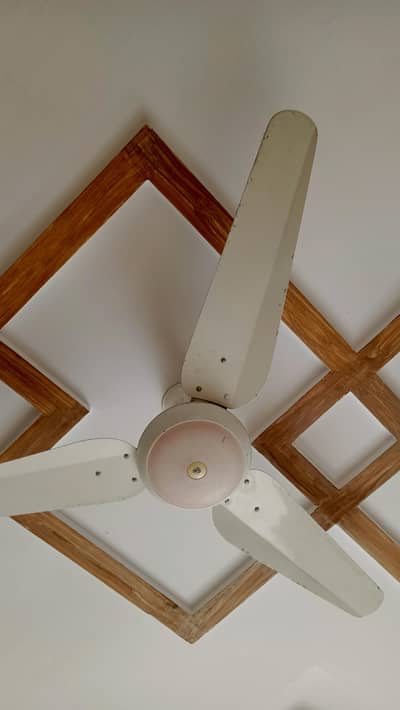 SK Brand Fan