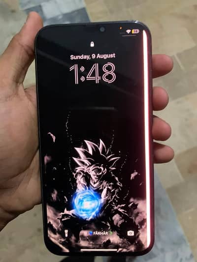 Apple iPhone 12 Pro Max bypass