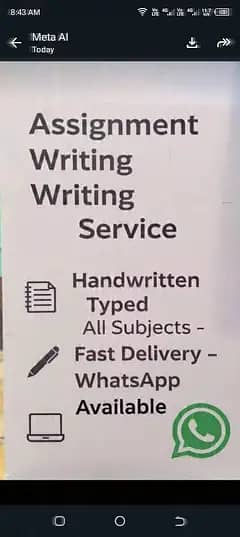 assignment and homework _All