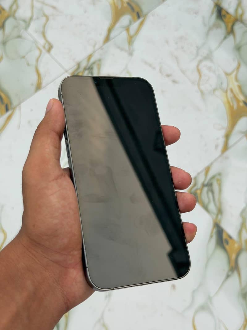 Apple iPhone 13 Pro Max 1