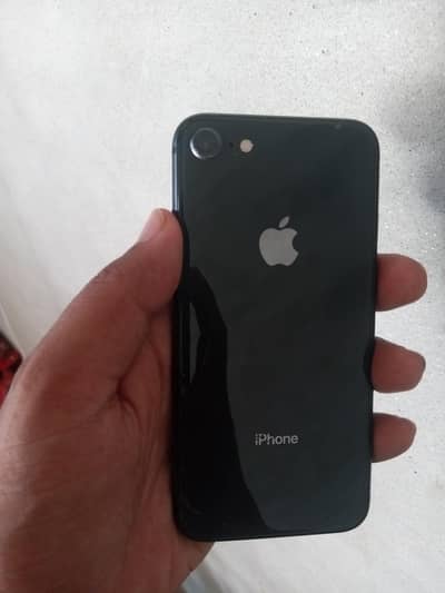 iPhone 8