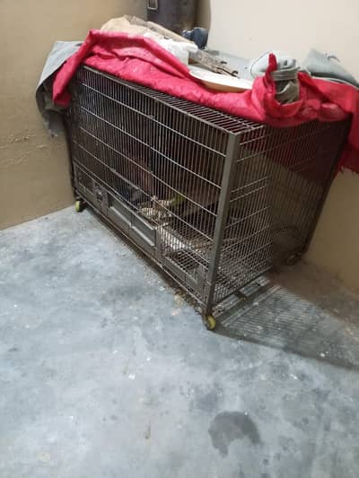 parrot cage