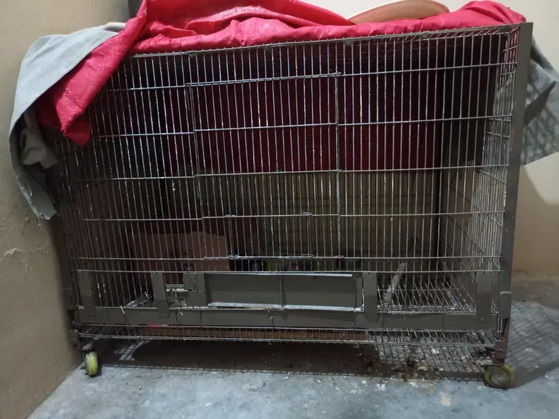 parrot cage — photo 3